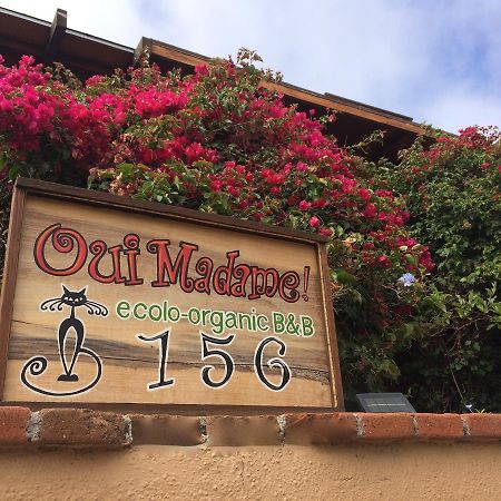 B&B Oui Madame Tijuana Ngoại thất bức ảnh