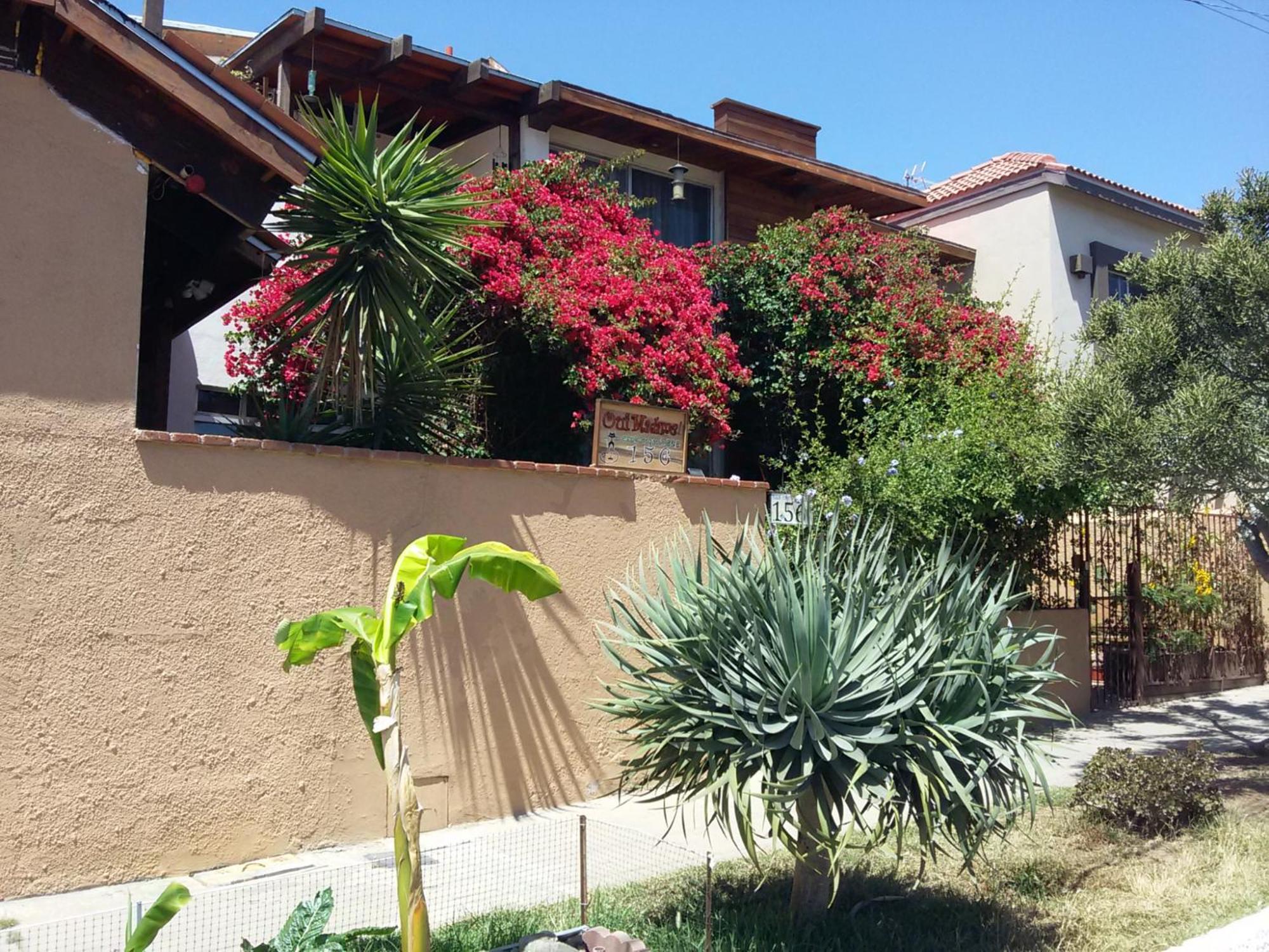 B&B Oui Madame Tijuana Ngoại thất bức ảnh