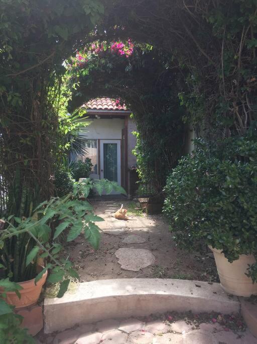 B&B Oui Madame Tijuana Phòng bức ảnh