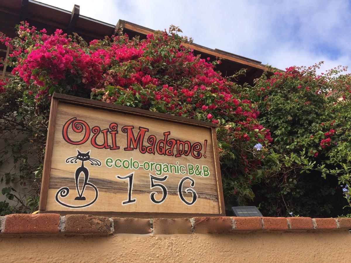 B&B Oui Madame Tijuana Ngoại thất bức ảnh